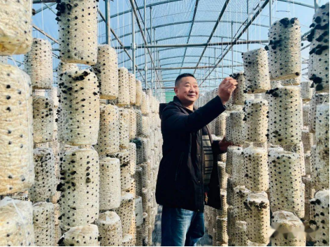 汉阴县益康现代农业有限公司